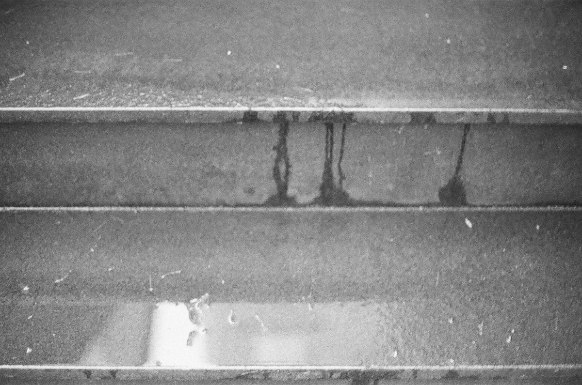 Steps by Larkin Small