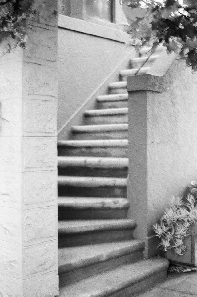 Stairs to Nowhere by Larkin Small